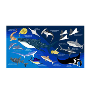 [오셔나리움] 상어 (블루)_스포츠 타월 110cm x 60cm