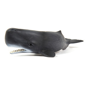 피규어 - 향유고래